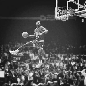 Meet your Posher, Joey